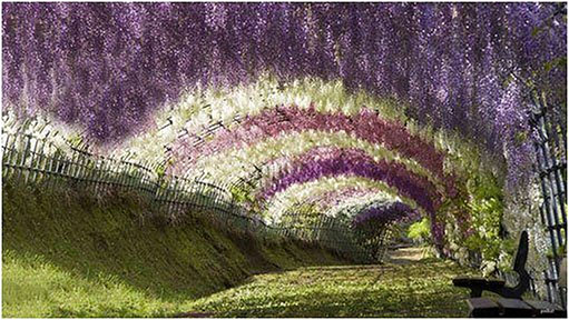 Feng Shui Tunnel