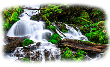 stream