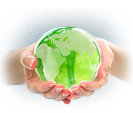 Feng Shui Predictions